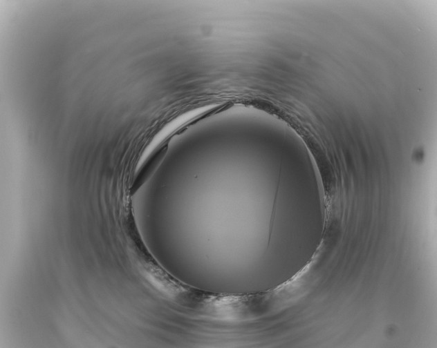 X0000094220186200711021148