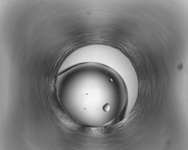 X0000094220188200711021148