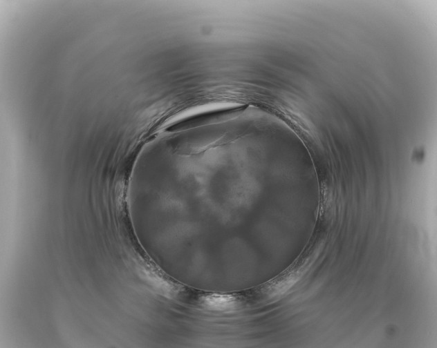 X0000094220189200711021148