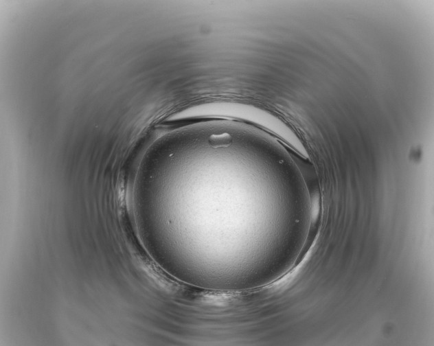 X0000094220190200711021148