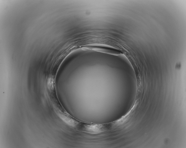 X0000094220191200711021148