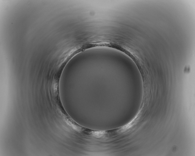 X0000094220192200711021148