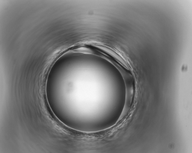 X0000094220193200711021147