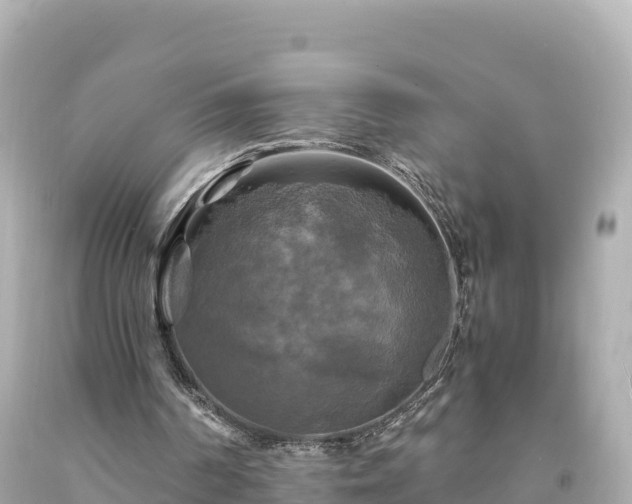 X0000094220194200711021147