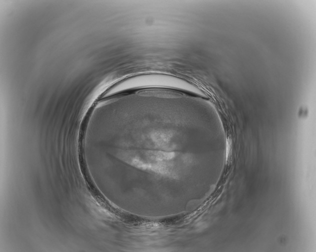 X0000094220195200711021147