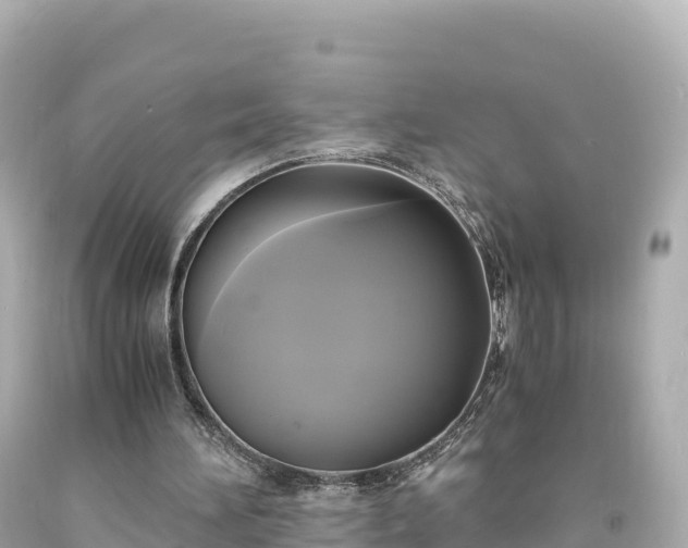 X0000094220196200711021147