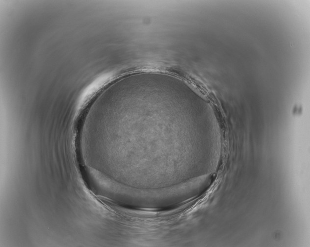 X0000094220197200711021147