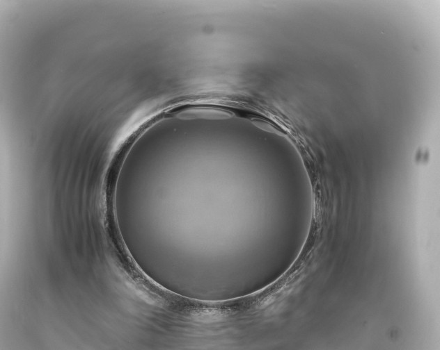 X0000094220198200711021147