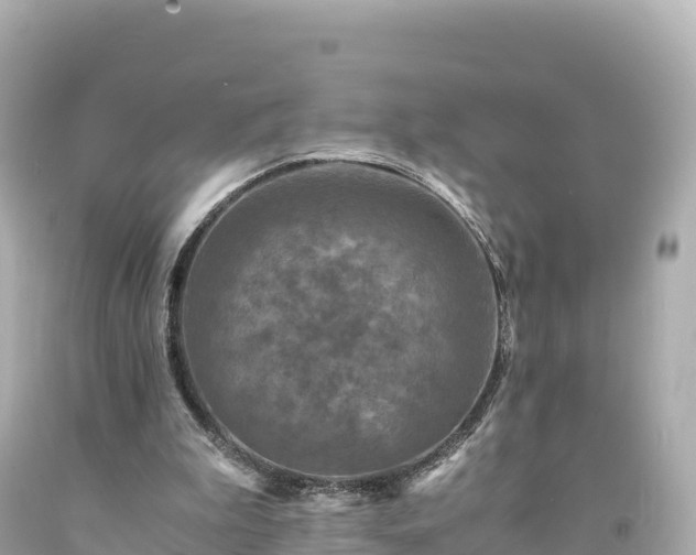 X0000094220199200711021147