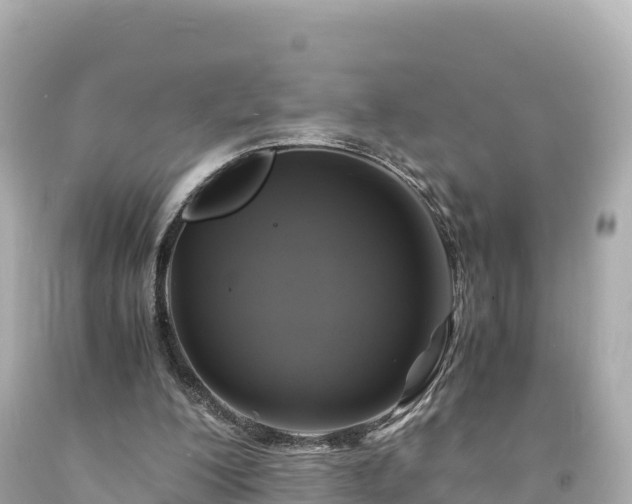 X0000094220200200711021147