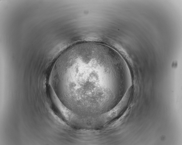 X0000094220201200711021147