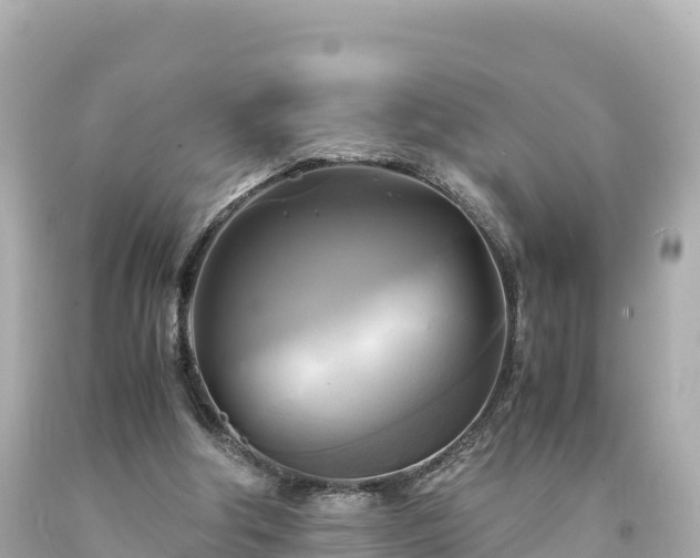 X0000094220202200711021147