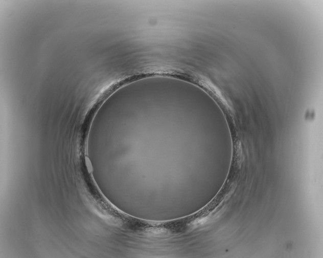 X0000094220203200711021147