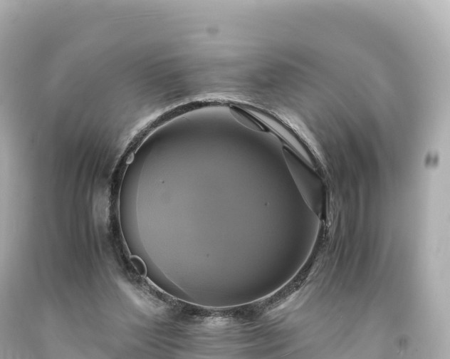 X0000094220204200711021147