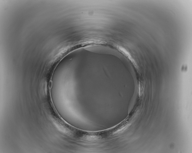 X0000094220205200711021147