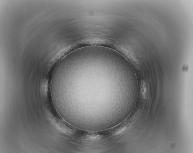 X0000094220206200711021147