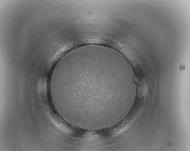 X0000094220207200711021147