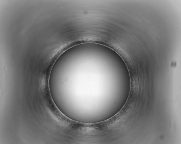 X0000094220208200711021147