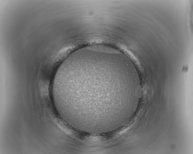 X0000094220209200711021147