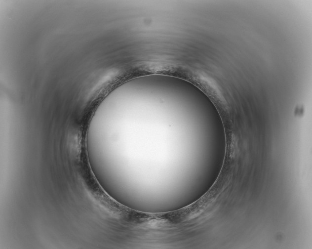 X0000094220210200711021147