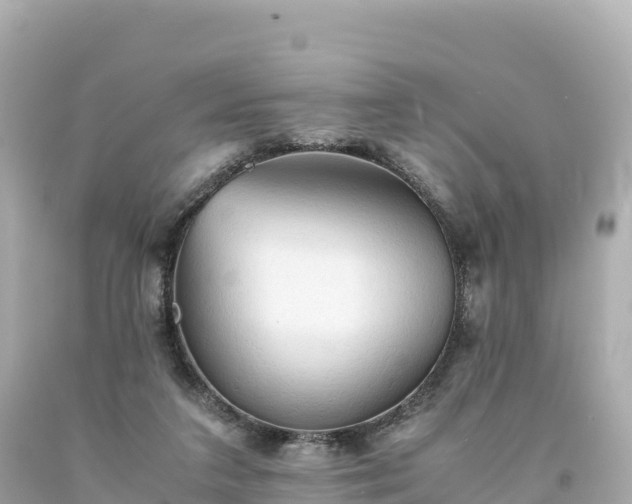 X0000094220211200711021147