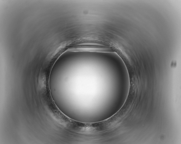 X0000094220212200711021147