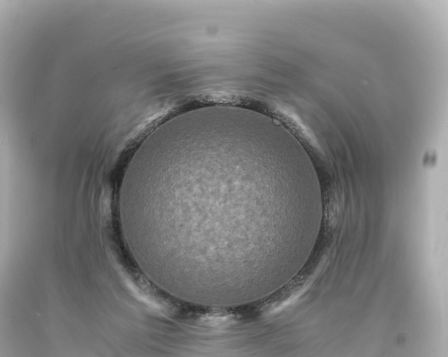 X0000094220213200711021147