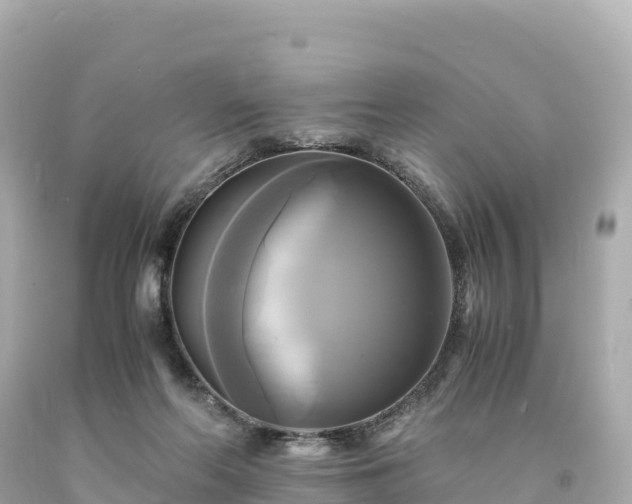 X0000094220214200711021147