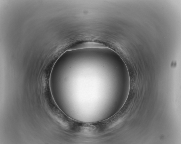 X0000094220215200711021147