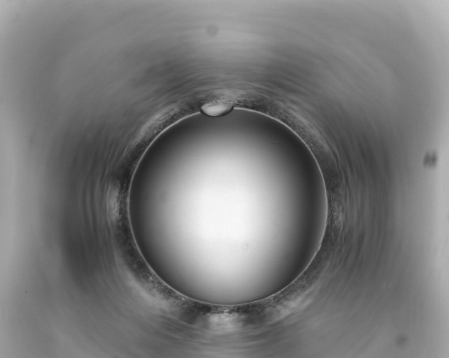 X0000094220216200711021147