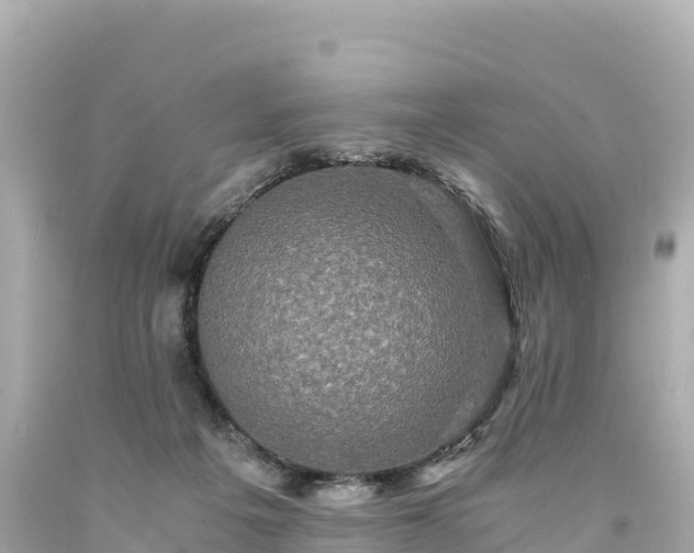 X0000094220217200711021147