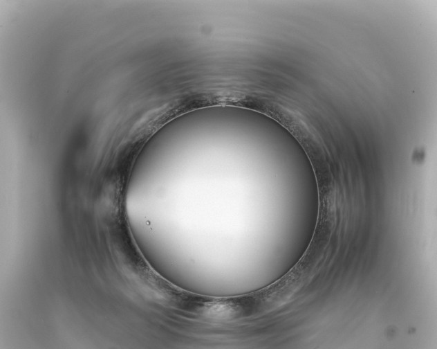 X0000094220218200711021147