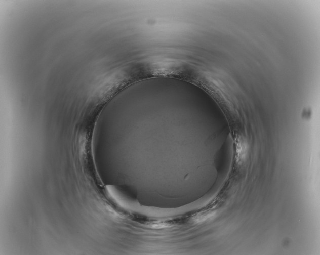 X0000094220219200711021147