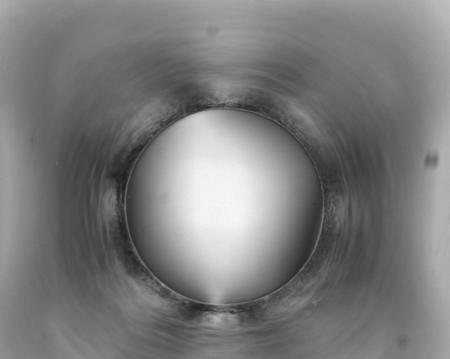 X0000094220220200711021147