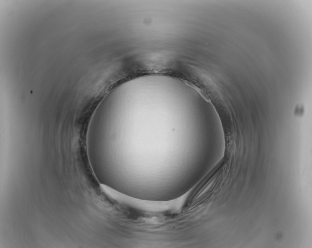 X0000094220221200711021147