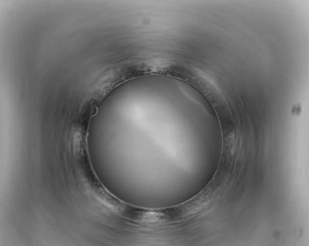 X0000094220222200711021147