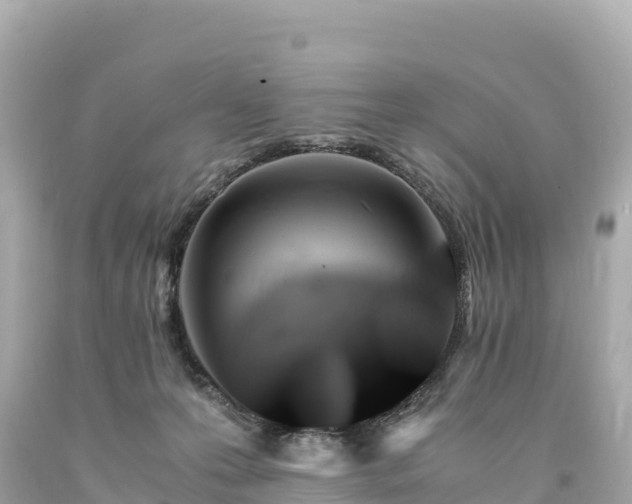 X0000094220223200711021147