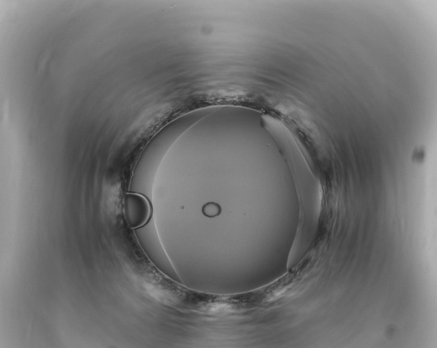 X0000094220224200711021147