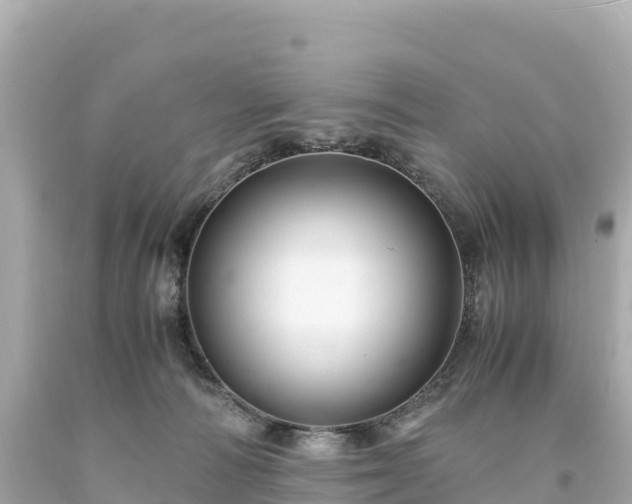 X0000094220226200711021147