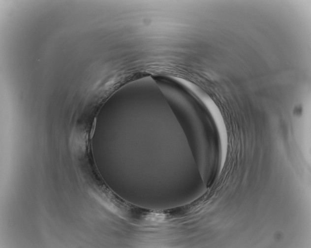 X0000094220227200711021146