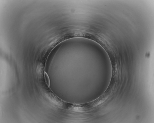 X0000094220228200711021146