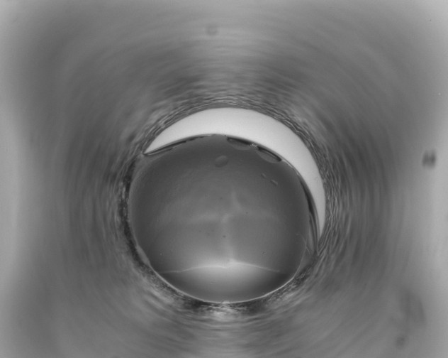 X0000094220229200711021146