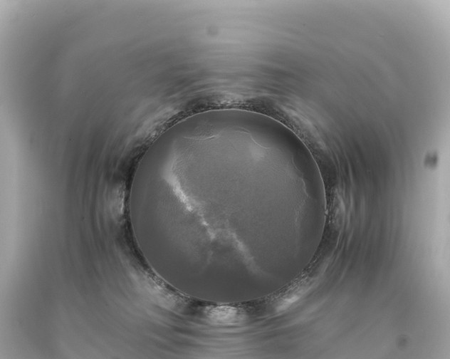 X0000094220230200711021146