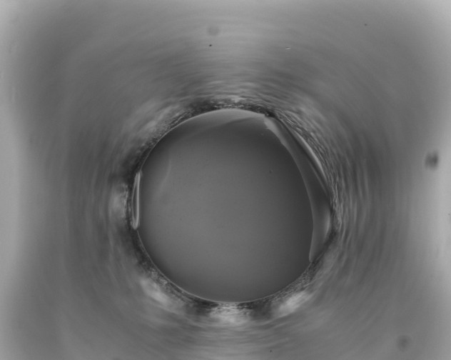 X0000094220231200711021146