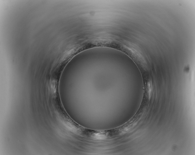 X0000094220232200711021146