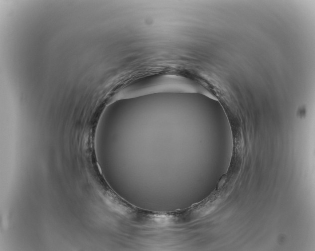 X0000094220233200711021146