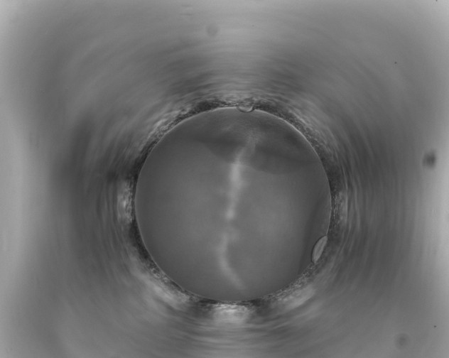 X0000094220234200711021146