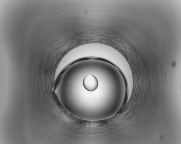 X0000094220235200711021146