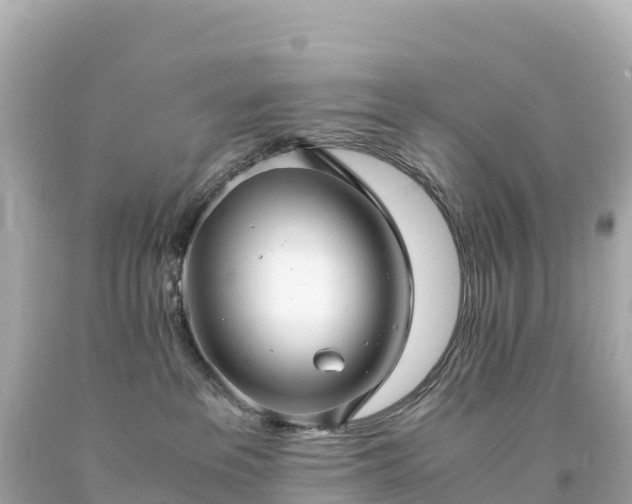 X0000094220237200711021146