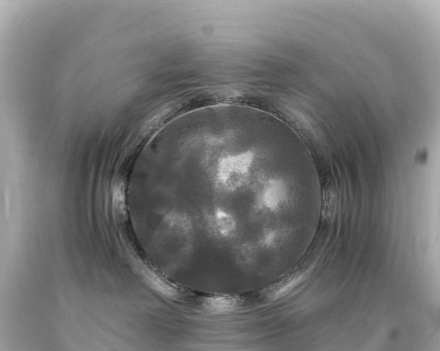 X0000094220238200711021146